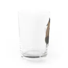 ピゴセリス属のKuroPen Water Glass :left