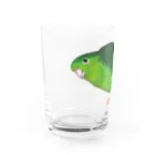 森図鑑の[森図鑑] サザナミインコ緑色 Water Glass :left