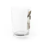 わが家の猫山さん。の猫山さん。はるがきた。 Water Glass :left