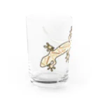 LalaHangeulのJapanese gecko(ニホンヤモリ)　英語デザイン Water Glass :left