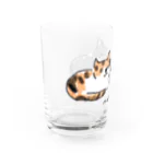 保護ねこカフェ もりねこのふたばちゃん&べべちゃん Water Glass :left