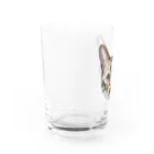 井上アフターバーナーのカイくん Water Glass :left