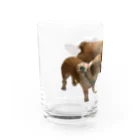 highly competitive dogs shopのバトル毛玉 Water Glass :left