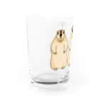 天十里SHOPのマーモット Water Glass :left