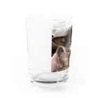 oculophiliaahのわお Water Glass :left