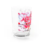 dandelionの紅梅 Water Glass :left