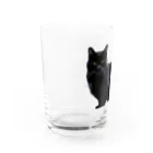 レイチェルの黒猫 Water Glass :left