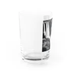 YoMiTの有名な観光スポットイメージ画像：ヴィクトリア滝（ザンビア、ジンバブエ） Water Glass :left