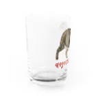 もっち（mocchi）のお散歩キジトラ猫ちゃん！ Water Glass :left