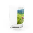 化けわらじ工房のおひるね化けわらじ Water Glass :left