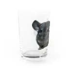 動物クラブのチンチラグッズ Water Glass :left