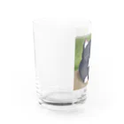 たあさむ@カウンセラーの癒しの猫ちゃん Water Glass :left
