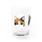 Smauの三毛猫・ハチワレ・ラグドール Water Glass :left