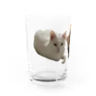 POPPE.comのなんですか顔のぽっぺ Water Glass :left