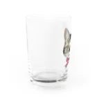 coussinetのほのぼのにゃんこ3兄妹 Water Glass :left