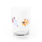 栗坊屋の幼魚だから小さいよ Water Glass :left