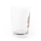 ガトーショコラのハブ対マングース ハブ敗北 Water Glass :left