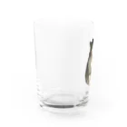 むっちり猫のむっちり丸の不機嫌な美猫 ミロ姫 Water Glass :left