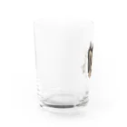 oniyanma64の子猫外を見る Water Glass :left