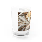 shinjo_irasutoの寝ている可愛いひよこ Water Glass :left