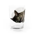 izuU shopのきゅるりんまーちゃん。 Water Glass :left