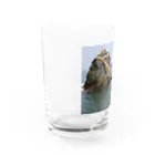 amaterasu358800の夫婦岩 Water Glass :left