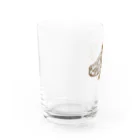 もえかい屋のBarbourula kalimantanensis Water Glass :left