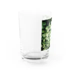 8216vividの梅花空木 Water Glass :left