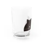 Arts&Crafts Muuののぞき見ねこ Water Glass :left