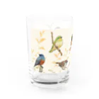 TeaDrop.Cの野鳥 Water Glass :left