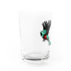 ぺちぺち工房 Pechi Pechi Atelierの世界一美しい鳥 ケツァール Water Glass :left