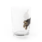 yancha堂の令和日和 Water Glass :left