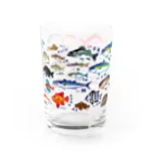 MUSEUM LAB SHOP MITのおさかないろいろ図鑑 Water Glass :left