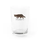 しまのなかまfromIRIOMOTEのIRIOMOTE イリオモテヤマネコ（全身） Water Glass :left