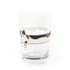 きなこしあんこの長い三毛猫 Water Glass :left