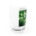 Tesoroの光の葉 Water Glass :left