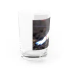 がま八のお店のレッドビーシュリンプ Water Glass :left