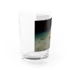 龍舞堂のゴンズイ Water Glass :left