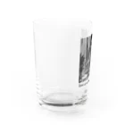 わにのテンカズーの雑貨屋さんのTencazu's Favorite Place /モノクロ Water Glass :left