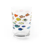 しまのなかまfromIRIOMOTEのらくがきしまのなかま魚類 Water Glass :left