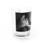 my dear catの鳥が気になる Water Glass :left