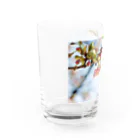 はち / きまぐれハチログの桜 Water Glass :left