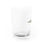 描く撮るのシダ植物 Water Glass :left