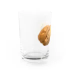 コマタヒチの【リス感満載！】殻付き胡桃と中身 Water Glass :left