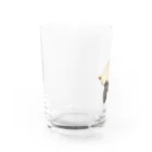 コハクの飼い主のコハク Water Glass :left