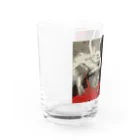 ZiPANGU・時絆倶の武田信玄　軍配 Water Glass :left