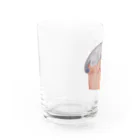 はるさめ商店のサバトラと高級食パン Water Glass :left