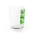 Mo.の🌿 Water Glass :left