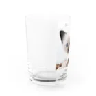 SUNNYHOUSE02の幸の眼差し Water Glass :left