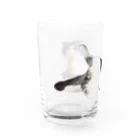 金ちゃんの部屋のキッズ時代の金ちゃん Water Glass :left